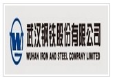 Wuhan Iron and Steel Co.